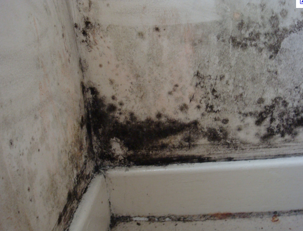 Mechanical Ventilation